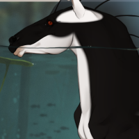 Thumbnail for DROMA-028: RST Black Fish