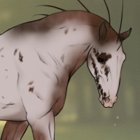 Thumbnail for DROMA-029: Ol Gal